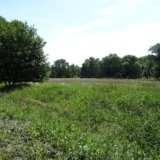 Faule Wiesen bei Bernau