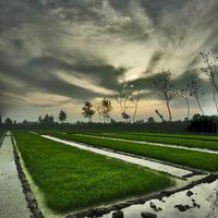 shahrestān di Mahmudabad