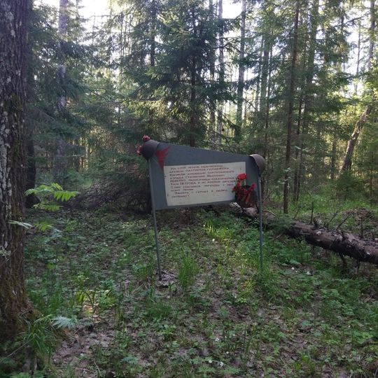 Partisan Camp in Luzhsky District