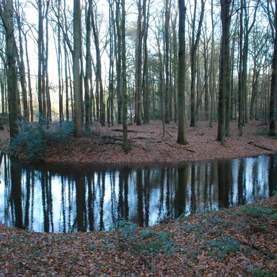 Leuvenumse Bos