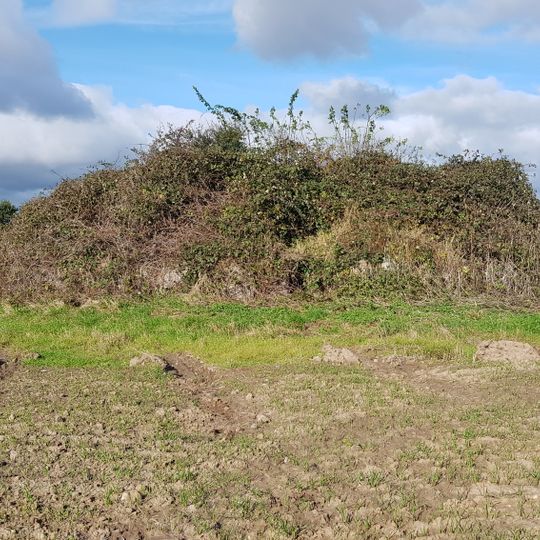 Passage grave of Tonneshøj