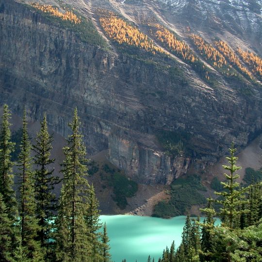 Alberta Mountain forests