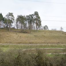 Halbtrockenrasen Nördlicher Hornberg