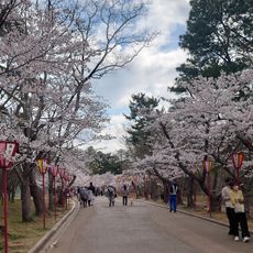 日岡山公園