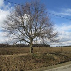 Obrázek nad Dražní