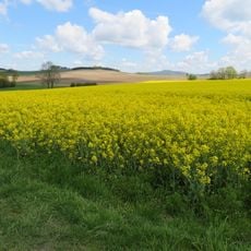 Offenland um Schüren und Erflinghausen