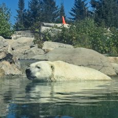 Cochrane Polar Bear Habitat