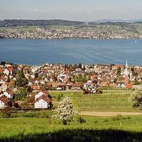 Wädenswil