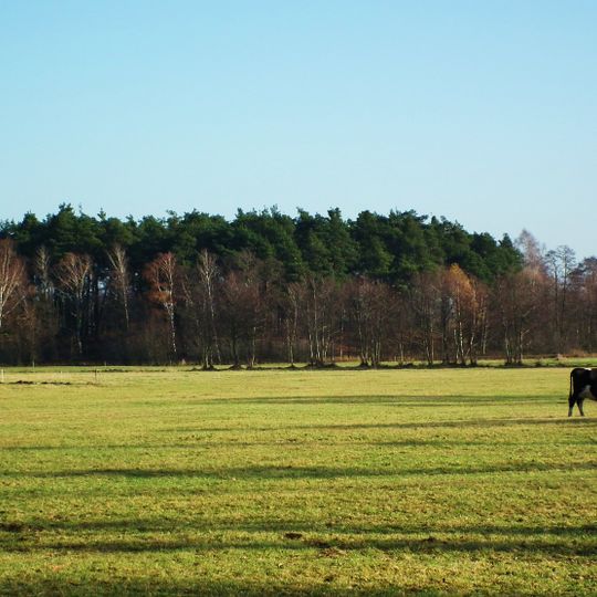 Grodzisko w Jarantowie