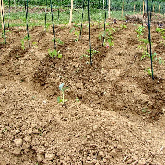 Benjamin Rush State Park