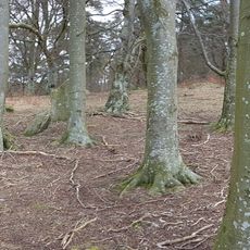 Gräberfeld bei Vitemölla