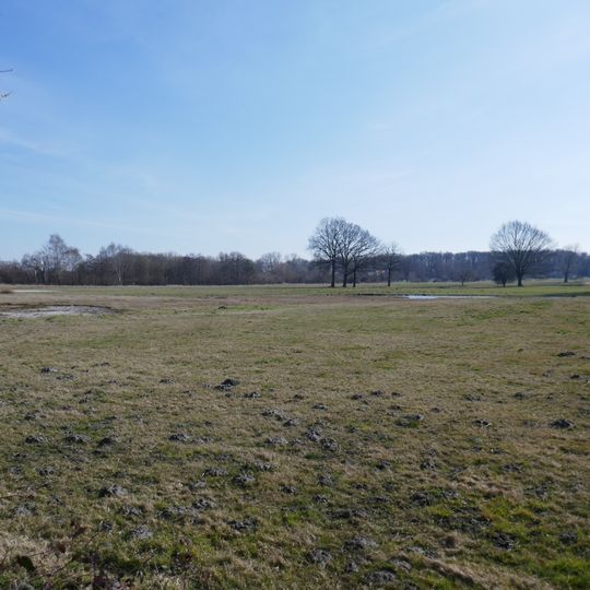 NSG Wulfesknapp / Krähenbrink