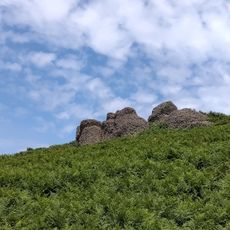 Cromlechs d'Ascain