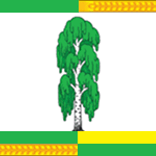 Омское сельское поселение