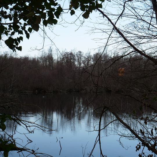 Wiesengelände an der Borussenstraße