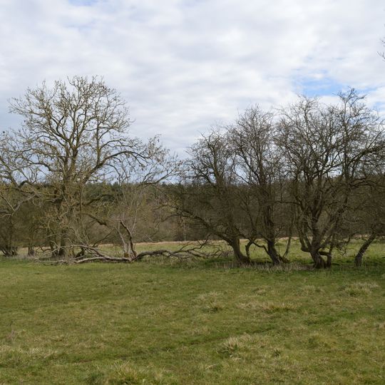 Tingewick Meadows