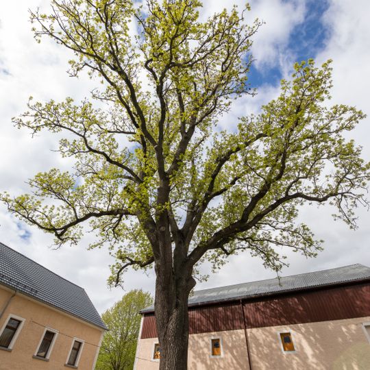 Hof Esche Kleinschirma