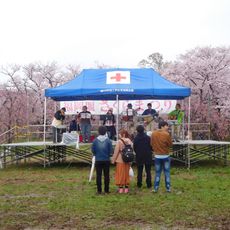 福岡堰さくら公園