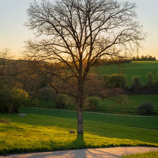 Böllingerbachtal und Michelbachtal