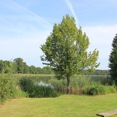 Weisiner See