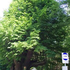 Kaplička u silnice z Klášterce nad Ohří do Kadaně