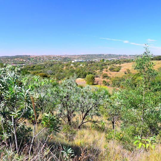 Moreleta Kloof Nature Reserve