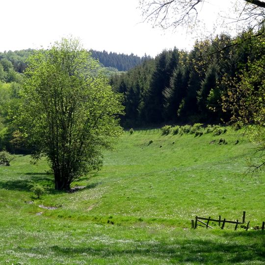 LSG-Talraum des Kelbkebaches suedlich Calle