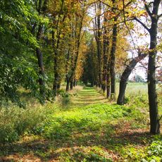 Manor park in Sichów Duży