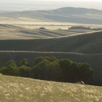 Óblast de Oremburgo