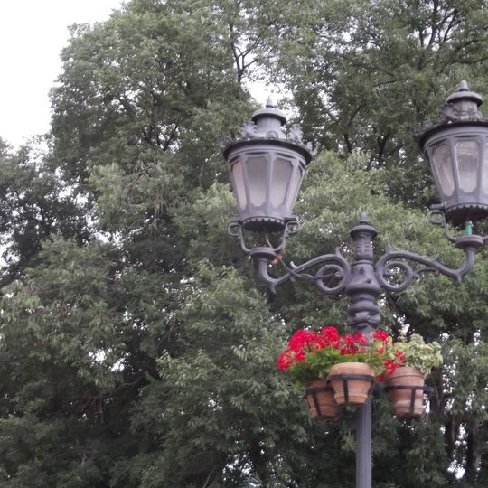 Споменик природе Копривић у центру Новог Сада