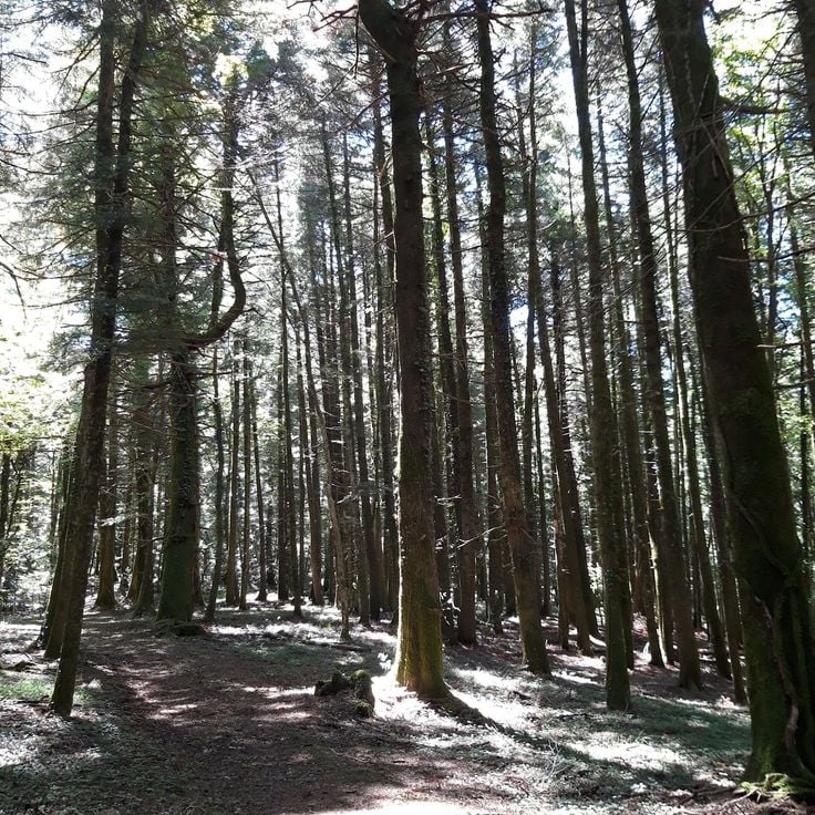 Riserva MAB Collemeluccio Montedimezzo