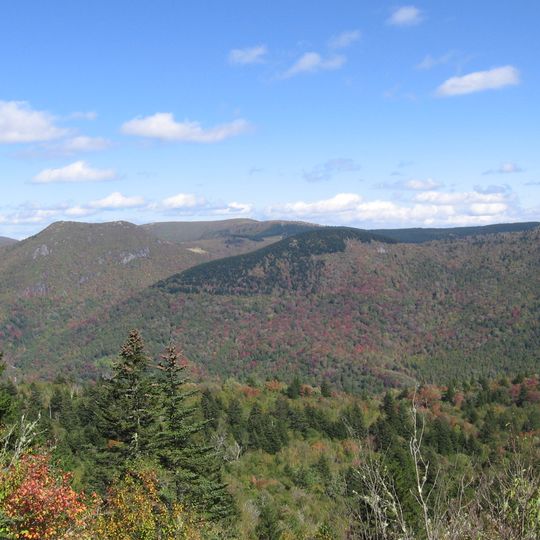 Middle Prong Wilderness