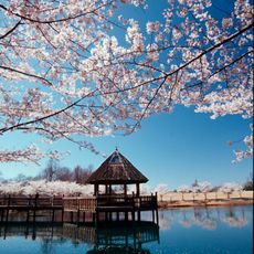 Jardín Botánico Meadowlark