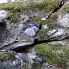 Plungės akmuo su Karvės pėda