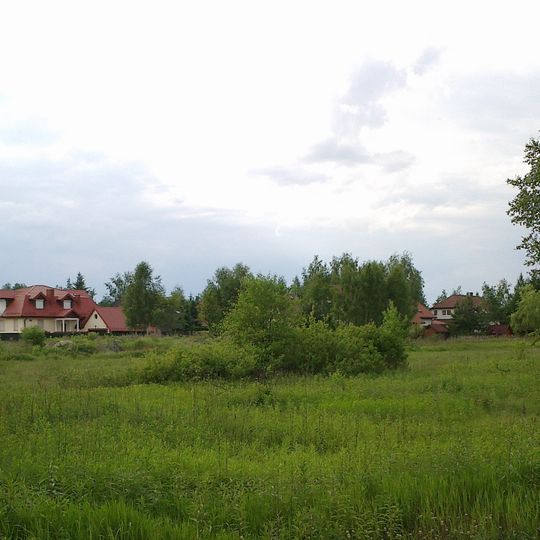 Czarnów, Piaseczno County