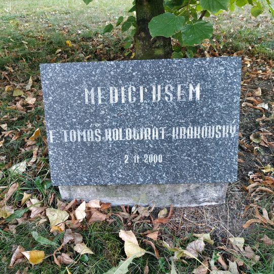 Pamětní deska Medici všem