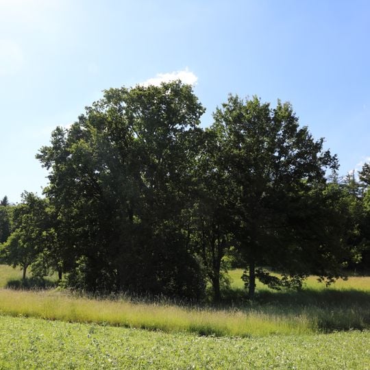 Erdfälle, Quelle u. Obstwiese nördl. Wolkersfelden Stockelwasen