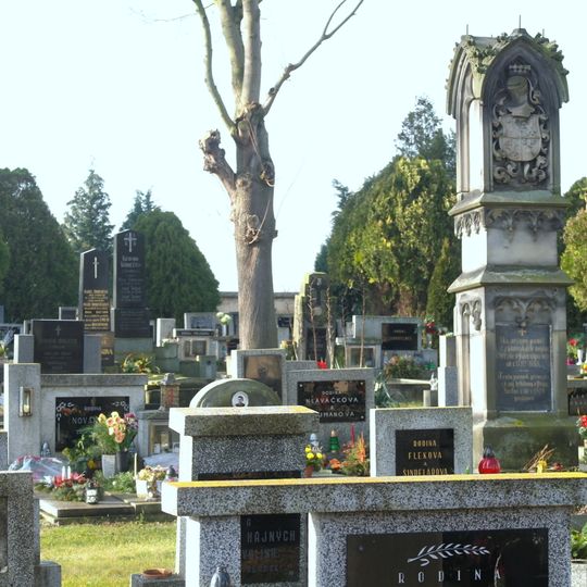 Pomník rakouských vojínů na hřbitově v Doksanech