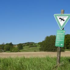 Feuchtwiesen bei Lüderbach