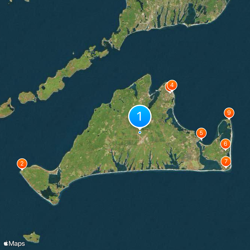 Martha's Vineyard Carte