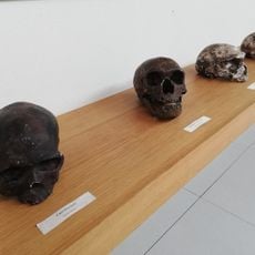 Museo de la Prehistoria de Nardó
