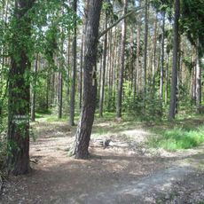 Obrázek severně od Horní Břízy