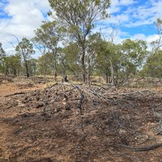 Blackwood National Park
