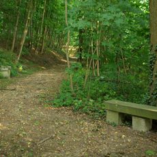 Meilwald mit Eisgrube