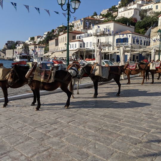 Taxi stand of Hydra