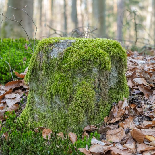 Grenzstein Tränkweiher in Fürth