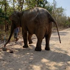 Parc zoologique de Phnom Tamao
