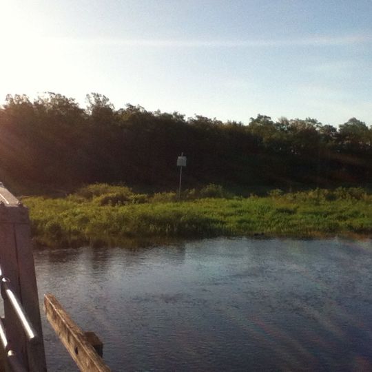 White Memorial Foundation