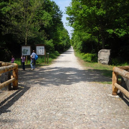 Bosco Fontana Nature Reserve