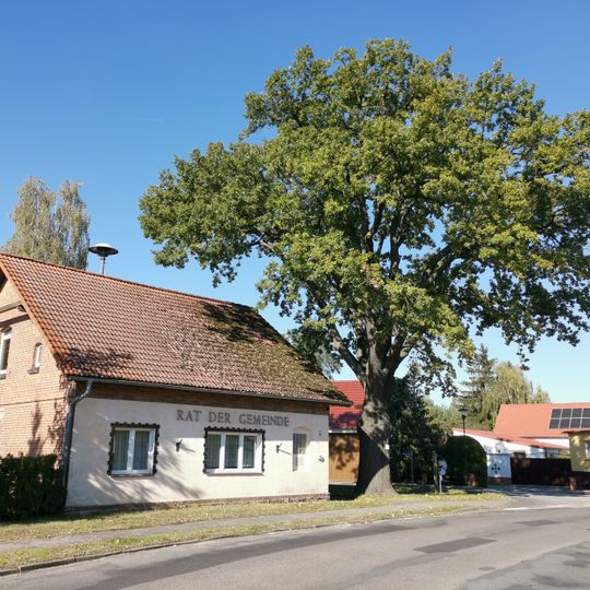 Naturdenkmal Friedens-Eiche